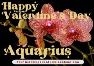 Astrology eCard Aquarius Happy Valentines Day 300x213 - Welcome
