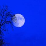 Full Moon Blue Sky Picryl 150x150 - Daily Horoscopes