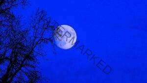 Full Moon Blue Sky Picryl 300x169 - Welcome