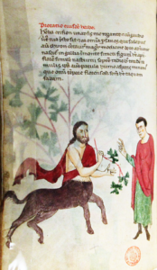 Chiron Pluteo CC3.0 174x300 - Your Chiron Return in Astrology
