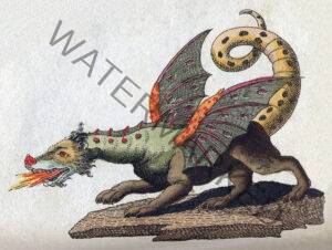 friedrich johann justin bertuch mythical creature dragon 1806 f89375 300x226 - Welcome
