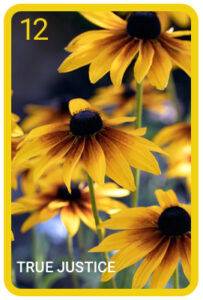 12 TRUE JUSTICE 203x300 - Be Your Own Psychic Astrologer