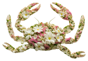 Cancer Floral Rawpixel 300x210 - New Moon in Virgo
