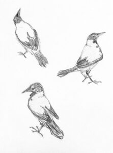 The J.K. Rowling Astrology Chart Three Birds Julie de Graag Rawpixel 222x300 - The J.K. Rowling Astrology Chart