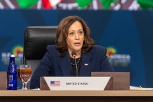 image from rawpixel id 11073033 jpeg 300x200 - Kamala Harris, Inauguration and Astrology