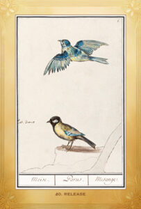 Card 40 I Ching Oracle Cards 203x300 - 2026 Year of the Horse