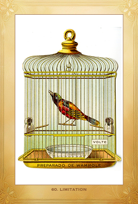 Card 60_Limitation_I Ching Oracle Cards