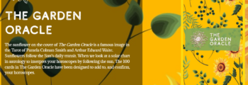 Garden Oracle e1735954266670 350x120 - About Jessica