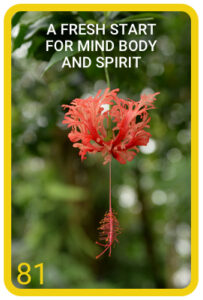 81 A FRESH START FOR MIND BODY AND SPIRIT 203x300 - Psychic Astrology - Australian Election 2025