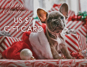 Merry Christmas USD7 Gift Card