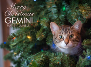 Gemini Christmas Ecard 300x222 - Weekly Horoscope November 17th to 23rd