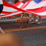 US Flag Dog RAWPIXEL 150x150 - The Astrology Blog