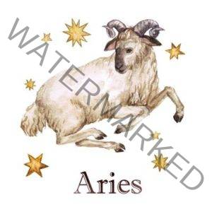 ARI2018 profile 300x300 - The Aries Birthday Horoscope 2024 to 2025
