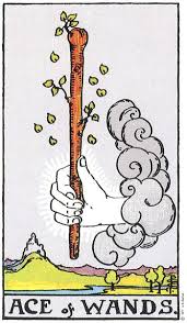 Ace of Wands - Tarot Single Card Secrets