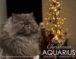 Aquarius Christmas 2020 Cat Animal Astrology Cards scaled 1 300x232 - Animal Astrology Christmas eCards
