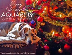 Aquarius Christmas 2020 Dog Animal Astrology Cards scaled 1 300x232 - Animal Astrology Christmas eCards