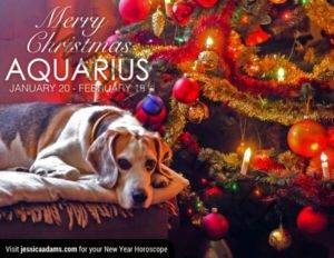 Aquarius Christmas gen Dog Animal Astrology Cards 600x464 1 300x232 - Gemini