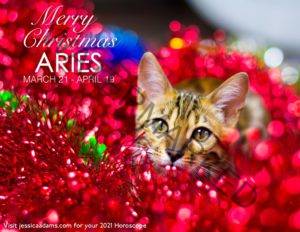 Aries Christmas 2020 Cat Animal Astrology Cards scaled 1 300x232 - Animal Astrology Christmas eCards