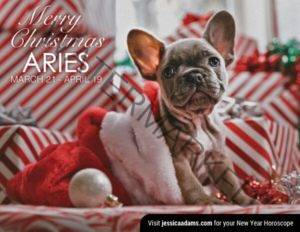Aries Christmas gen Dog Animal Astrology Cards 600x464 1 300x232 - Welcome