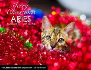 Aries Christmas generic Cat Animal Astrology Cards 600x464 1 300x232 - Gemini
