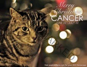Cancer Christmas 2020 Cat Animal Astrology Cards scaled 1 300x232 - Animal Astrology Christmas eCards