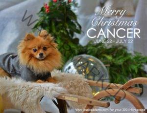 Cancer Christmas 2020 Dog Animal Astrology Cards scaled 1 300x232 - Animal Astrology Christmas eCards