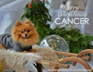 Cancer Christmas 2020 Dog Animal Astrology Cards scaled 1 300x232 - Animal Astrology Christmas eCards