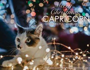 Capricorn Christmas 2020 Cat Animal Astrology Cards scaled 1 300x232 - Animal Astrology Christmas eCards