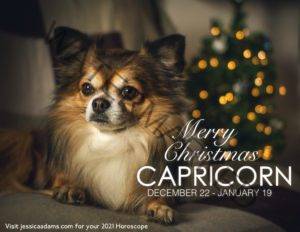 Capricorn Christmas 2020 Dog Animal Astrology Cards scaled 1 300x232 - Animal Astrology Christmas eCards