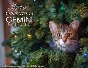 Gemini Christmas 2020 Cat Animal Astrology Cards