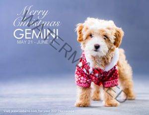 Gemini Christmas 2020 Dog Animal Astrology Cards scaled 1 300x232 - Animal Astrology Christmas eCards