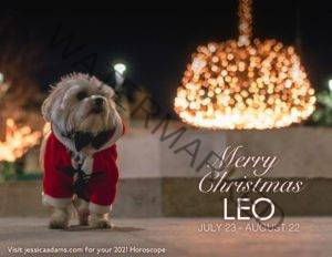 Leo Christmas 2020 Dog Animal Astrology Cards scaled 1 300x232 - Animal Astrology Christmas eCards