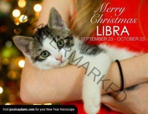 Libra Christmas generic Cat Animal Astrology Cards 600x464 1 300x232 - Cancer