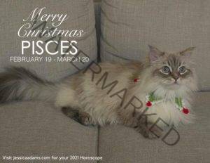 Pisces Christmas 2020 Cat Animal Astrology Cards