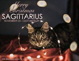 Sagittarius Christmas 2020 Cat Animal Astrology Cards scaled 1 300x232 - Animal Astrology Christmas eCards