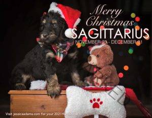 Sagittarius Christmas 2020 Dog Animal Astrology Cards scaled 1 300x232 - Animal Astrology Christmas eCards