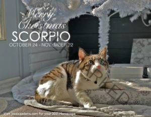 Scorpio Christmas 2020 Cat Animal Astrology Cards scaled 1 300x232 - Animal Astrology Christmas eCards