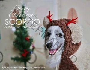 Scorpio Christmas 2020 Dog Animal Astrology Cards scaled 1 300x232 - Animal Astrology Christmas eCards