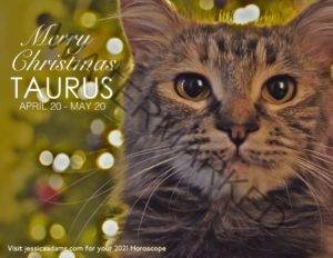 Taurus Christmas 2020 Cat Animal Astrology Cards scaled 1 300x232 - Animal Astrology Christmas eCards