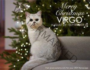 Virgo Christmas 2020 Cat Animal Astrology Cards scaled 1 300x232 - Animal Astrology Christmas eCards