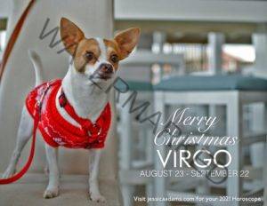 Virgo Christmas 2020 Dog Animal Astrology Cards scaled 1 300x232 - Animal Astrology Christmas eCards
