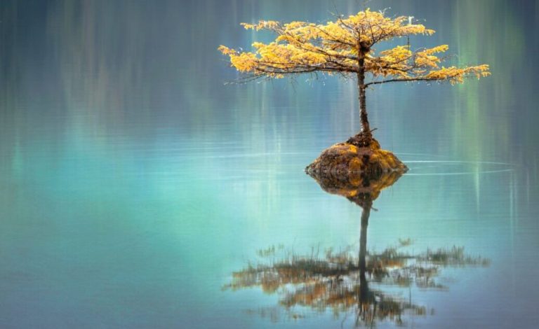 The Astrology Blog faye cornish Uq3gTiPlqRo unsplash scaled e1590014747554 768x470 - The Astrology Blog